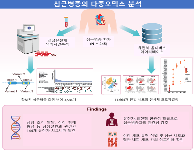 %EC%97%B0%EA%B5%AC%EB%82%B4%EC%9A%A9%20%EC%9A%94%EC%95%BD.png