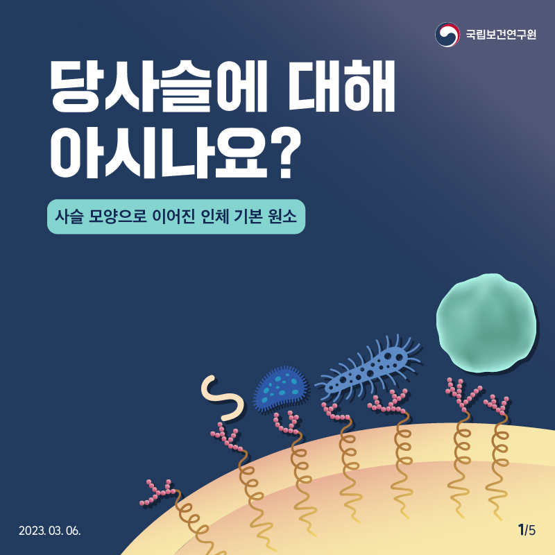 국립보건연구원 / 당사슬에 대해 아시나요? 사슬 모양으로 이어진 인체 기본 원소. 2023.03.06. 1/5