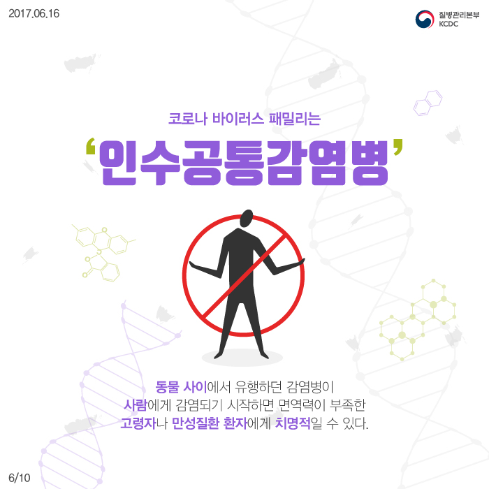 코로나 바이러스 패밀리는 인수공통감염병. 동물 사이에서 유행하던 감염병이 사람에게 감염되기 시작하면 면역력이 부족한 고령자나 만성질환 환자에게 치명적일 수 있다.