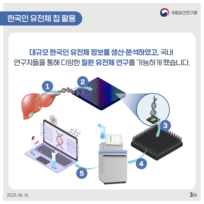 국립보건연구원 / 한국인 유전체 칩 활용 / 대규모 한국인 유전체 정보를 생산 · 분석하였고, 국내 연구자들을 통해 다양한 질환 유전체 연구를 가능하게 했습니다. 2023.06.16. 3/6