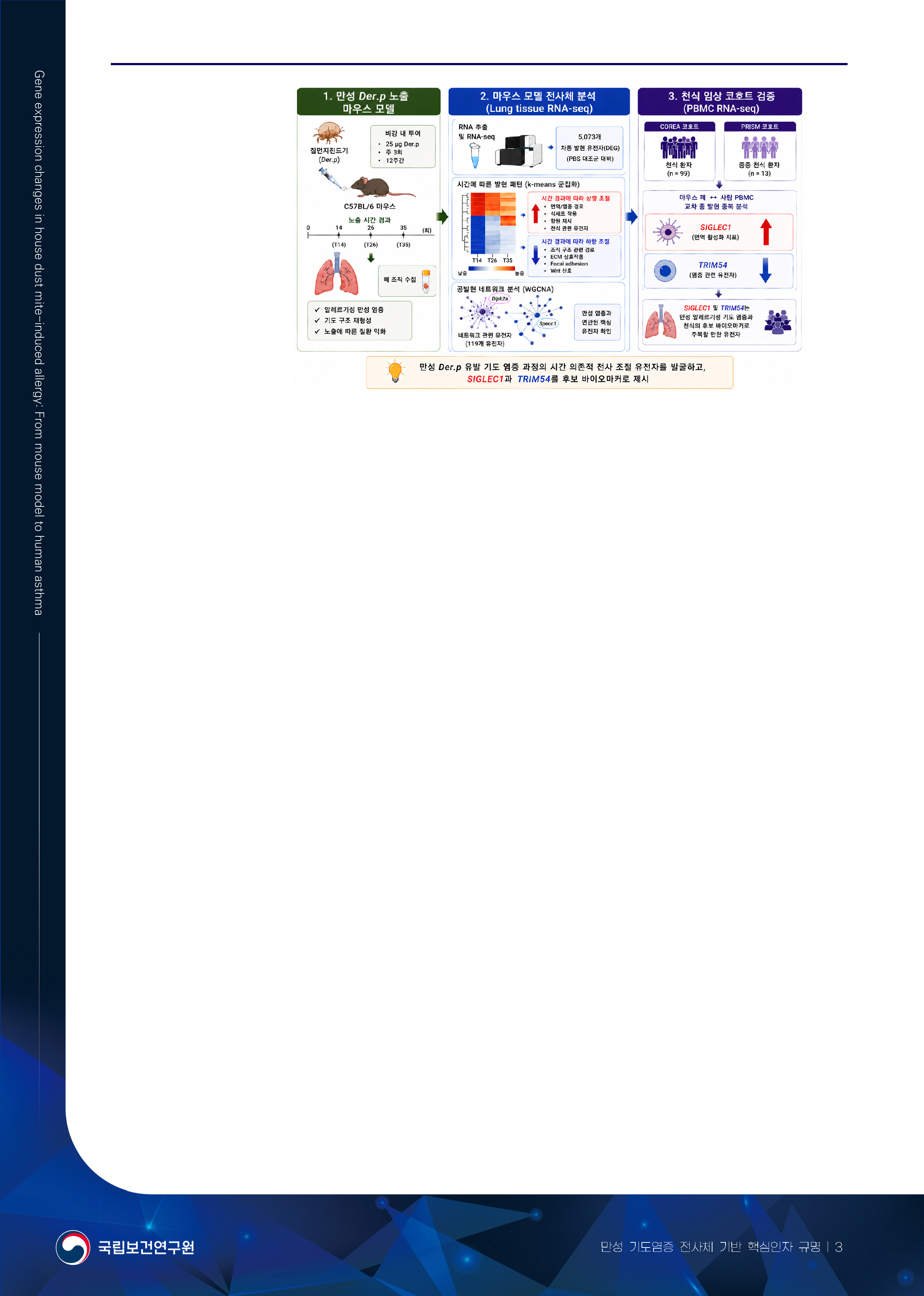 12.%20%EB%A7%8C%EC%84%B1%20%EA%B8%B0%EB%8F%84%EC%97%BC%EC%A6%9D%20%EC%A0%84%EC%82%AC%EC%B2%B4%20%EA%B8%B0%EB%B0%98%20%ED%95%B5%EC%8B%AC%EC%9D%B8%EC%9E%90%20%EA%B7%9C%EB%AA%85_%ED%8E%98%EC%9D%B4%EC%A7%80_3.jpg