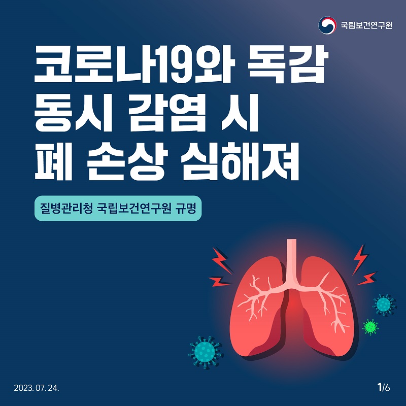 국립보건연구원 / 코로나19와 독감 동시 감염 시 폐손상 심해져 질병관리청 국립보건연구원 규명 2023.07.24. 1/6