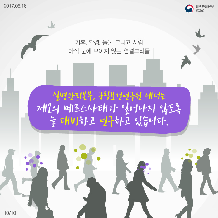 기후, 환경, 동물 그리고 사람. 아직 눈에 보이지 않는 연결고리들. 질병관리본부, 국립보건연구원에서는 제2의 메르스사태가 일어나지 않도록 늘 대비하고 연구하고 있습니다.