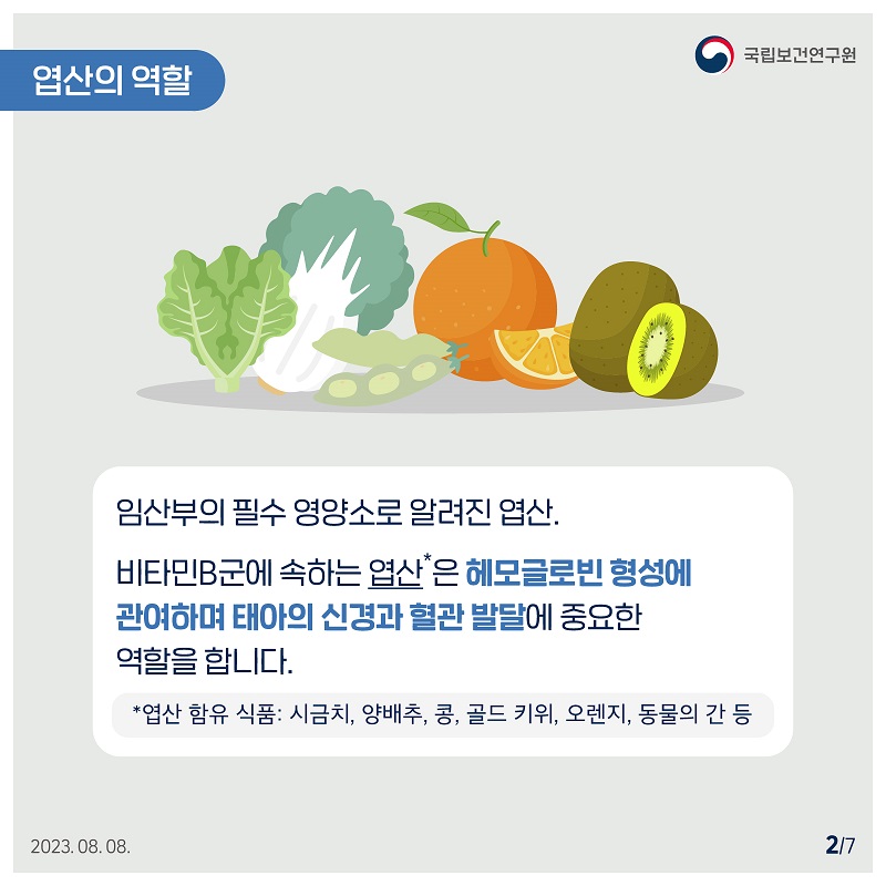 국립보건연구원 / 엽산의 역할 / 임산부의 필수 영양소로 알려진 엽산. 비타민B군에 속하는 엽산은 헤모글로빈 형성에 관여하며 태아의 신경과 혈관 발달에 중요한 역할을 합니다. *엽산 함유 식품: 시금치, 양배추, 콩, 골드 키위, 오렌지, 동물의 간 등 2023.08.08. 2/7