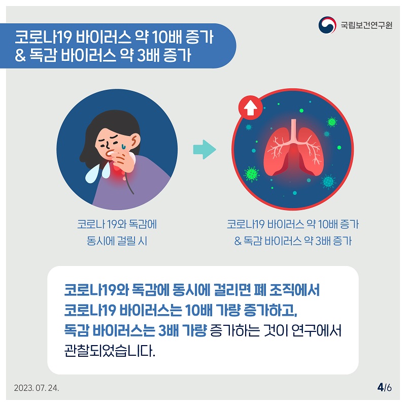 국립보건연구원 / 코로나19 바이러스 약 10배 증가 & 독감 바이러스 약 3배 증가 / 코로나 19와 독감에 동시에 걸릴시 코로나19 바이러스 약 10배 증가 & 독감 바이러스 약 3배 증가 코로나19와 독감에 동시에 걸리면 폐 조직에서 코로나19 바이러스는 10배 가량 증가하고, 독감 바이러스는 3배 가량 증가하는 것이 연구에서 관찰되었습니다. 2023.07.24. 4/6