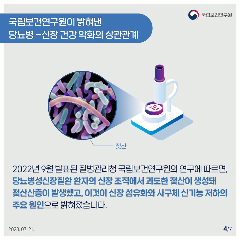 ﻿국립보건연구원 / 국립보건연구원이 밝혀낸 당뇨병 -신장 건강악화의 상관관계 / 젖산 / 2022년 9월 발표된 질병관리청 국립보건연구원의 연구에 따르면, 당뇨병성신장질환 환자의 신장조직에서 과도한 젖산이 생성돼 젖산산증이 발생했고, 이것이 신장 섬유화와 사구체 신기능 저하의 주요 원인으로 밝혀졌습니다. 2023.07.21. 4/7﻿