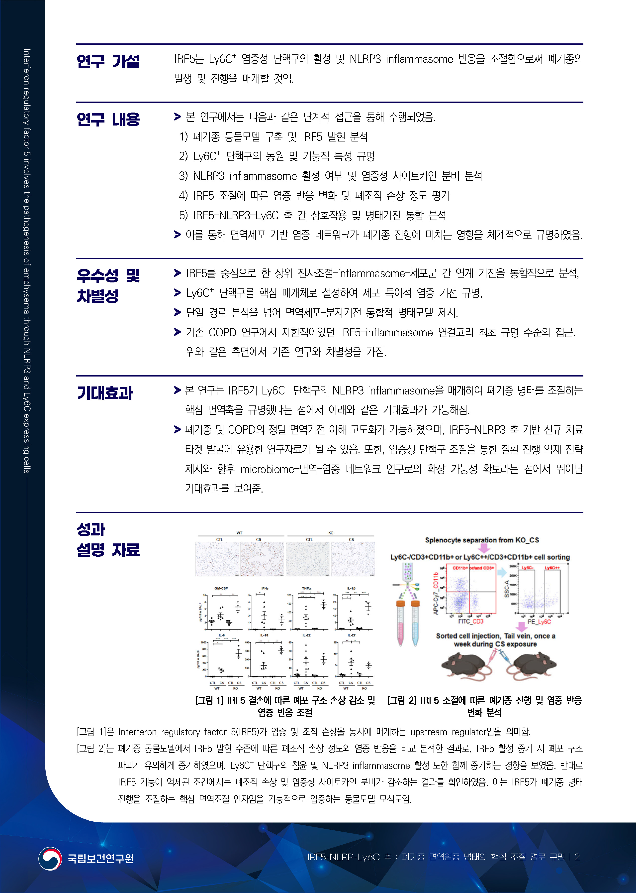 07.%20IRF5-NLRP-Ly6C%20%EC%B6%95%20%ED%8F%90%EA%B8%B0%EC%A2%85%20%EB%A9%B4%EC%97%AD%EC%97%BC%EC%A6%9D%20%EB%B3%91%ED%83%9C%EC%9D%98%20%ED%95%B5%EC%8B%AC%20%EC%A1%B0%EC%A0%88%20%EA%B2%BD%EB%A1%9C%20%EA%B7%9C%EB%AA%85_%ED%8E%98%EC%9D%B4%EC%A7%80_2.jpg