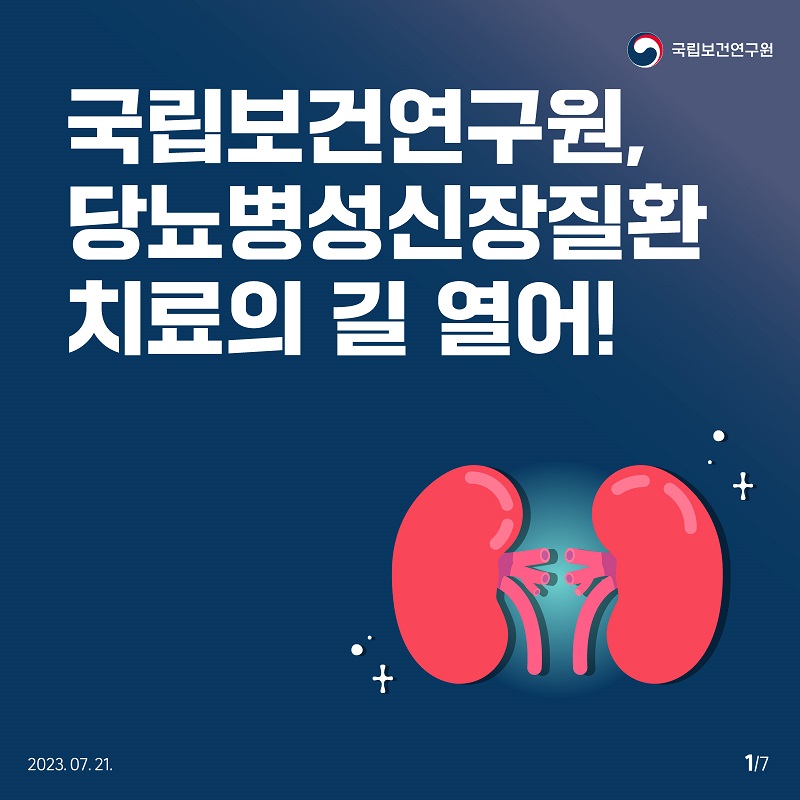 국립보건연구원 / 국립보건연구원, 당뇨병성신장질환 치료의 길 열어! 2023.07.21. 1/7