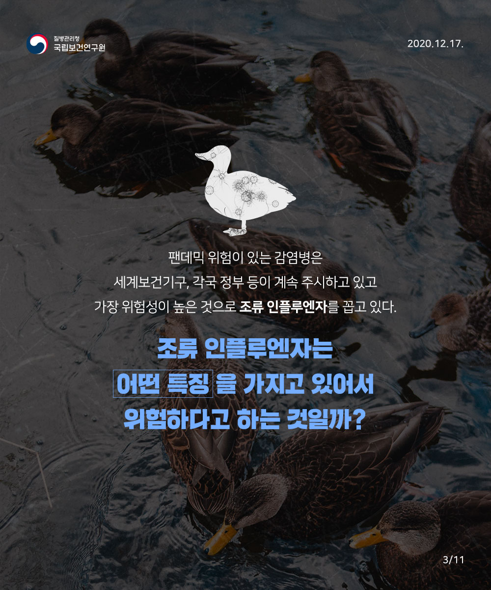 팬데믹 위험이 있는 감염병은 세계보건기구, 각국정부 등이 계속 주시하고 있고 가장 위험성이 높은것으로 조류 인플루엔자를 꼽고 있다. 조류 인플루엔자는 어떤특징을 가지고 있어서 위험하다고 하는것일까?