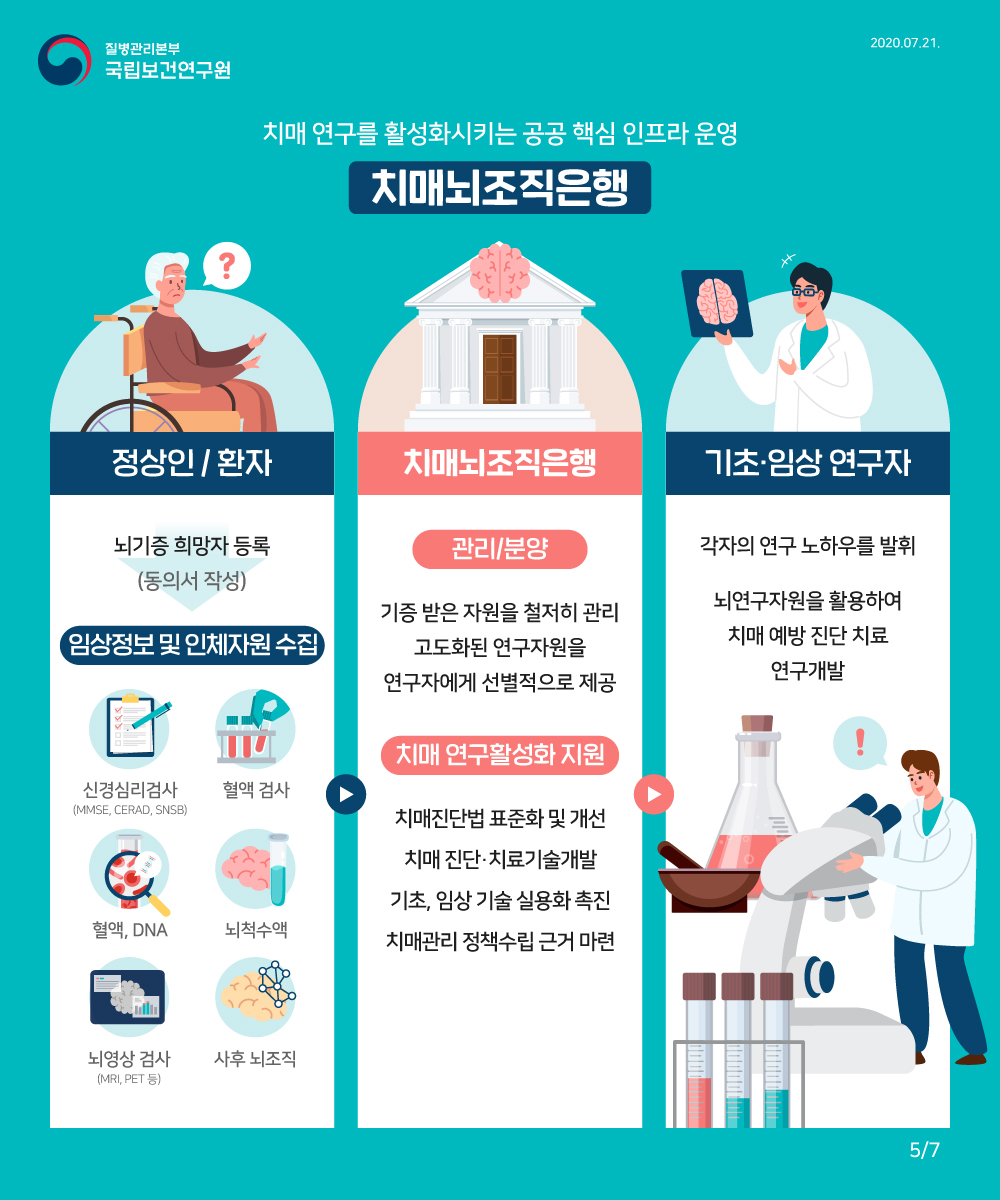 치매연구를 활성화 시키는 공공핵심 인프라 운영 치매뇌조직은행 , 정상인/환자-> 뇌기증희망자 등록(동의서 작성) 임상정보 및 인체자원 수집(신경심리검사, 혈액검사, 혈액 dna, 뇌척수액, 뇌영상검사, 사후 뇌조직) -> 치매뇌조직 은행 관리/분양 (기증받은 자원을 철저히 관리 고도화된 연구자원을 연구자에게 선별적으로 제공) 치매연구활성화지원(치매진단법 표준화 및 개선 치매진단 치료기술개발 기쵸, 임상기술 실용화 촉진 치매관리 정책수립 근거 마련)-> 기초임상연구자( 각자의 연구노하우를 발휘 뇌연구자원을 활용하여 치매예방진단 치료 연구개발)