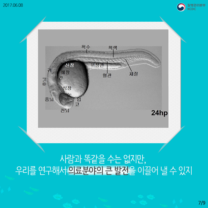 사람과 똑같을 수는 없지만, 우리를 연구해서 의료분야의 큰 발전을 이끌어 낼 수 있지