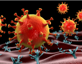 Small Extracellular Vesicles with Engineered Receptors as Decoys for SARS-CoV-2 