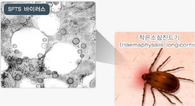 병원체