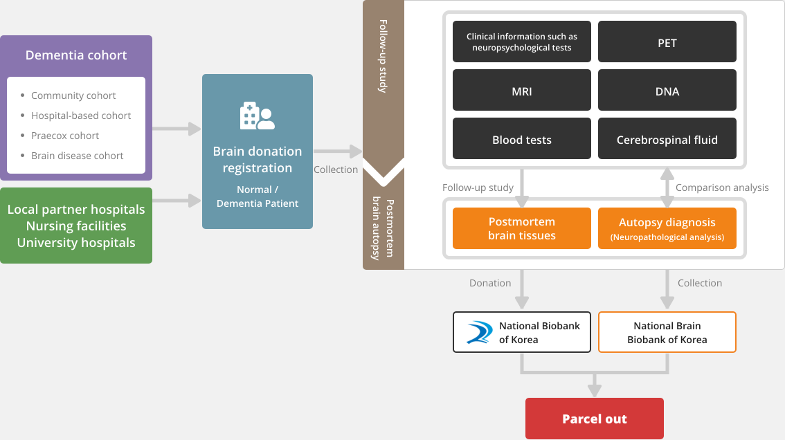 National Brain Biobank of Korea