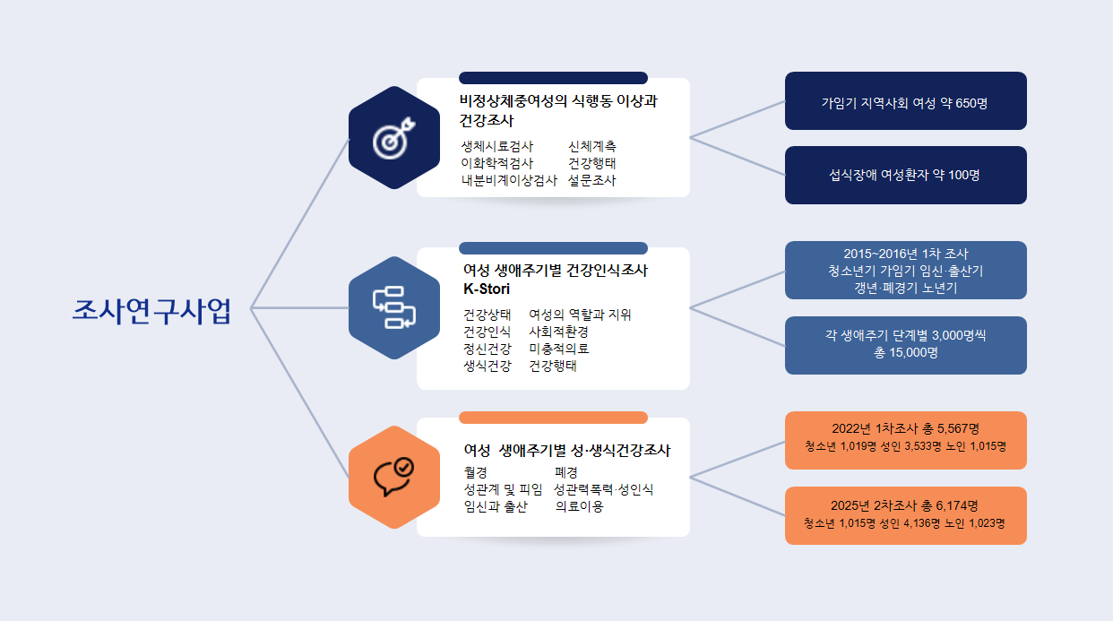 조사연구사업 3개 세부 사업. 비정상체중여성 건강조사, K-Stori, 성·생식건강조사. 상세 내용은 아래 설명 참조