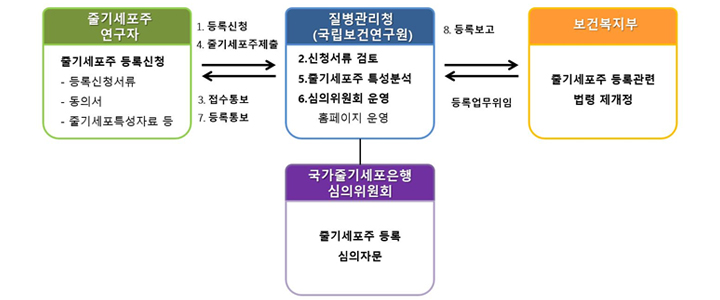줄기세포주 등록 운영체계 설명 이미지